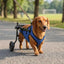 Adjustable Dog Mobility Wheelchair