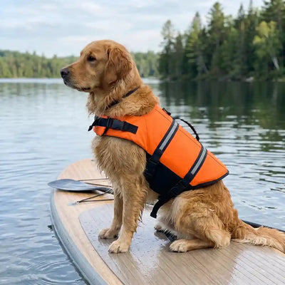 Aquatic Dog Safety Flotation Vest
