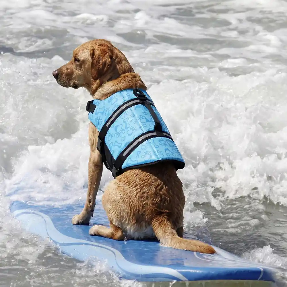 Aquatic Dog Safety Flotation Vest