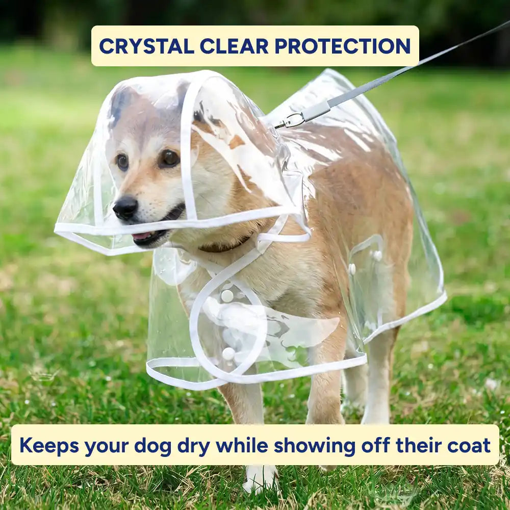 Translucent EVA Dog Raincoat