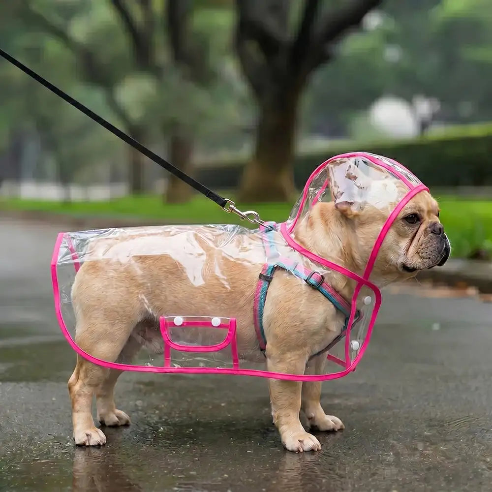 Translucent EVA Dog Raincoat