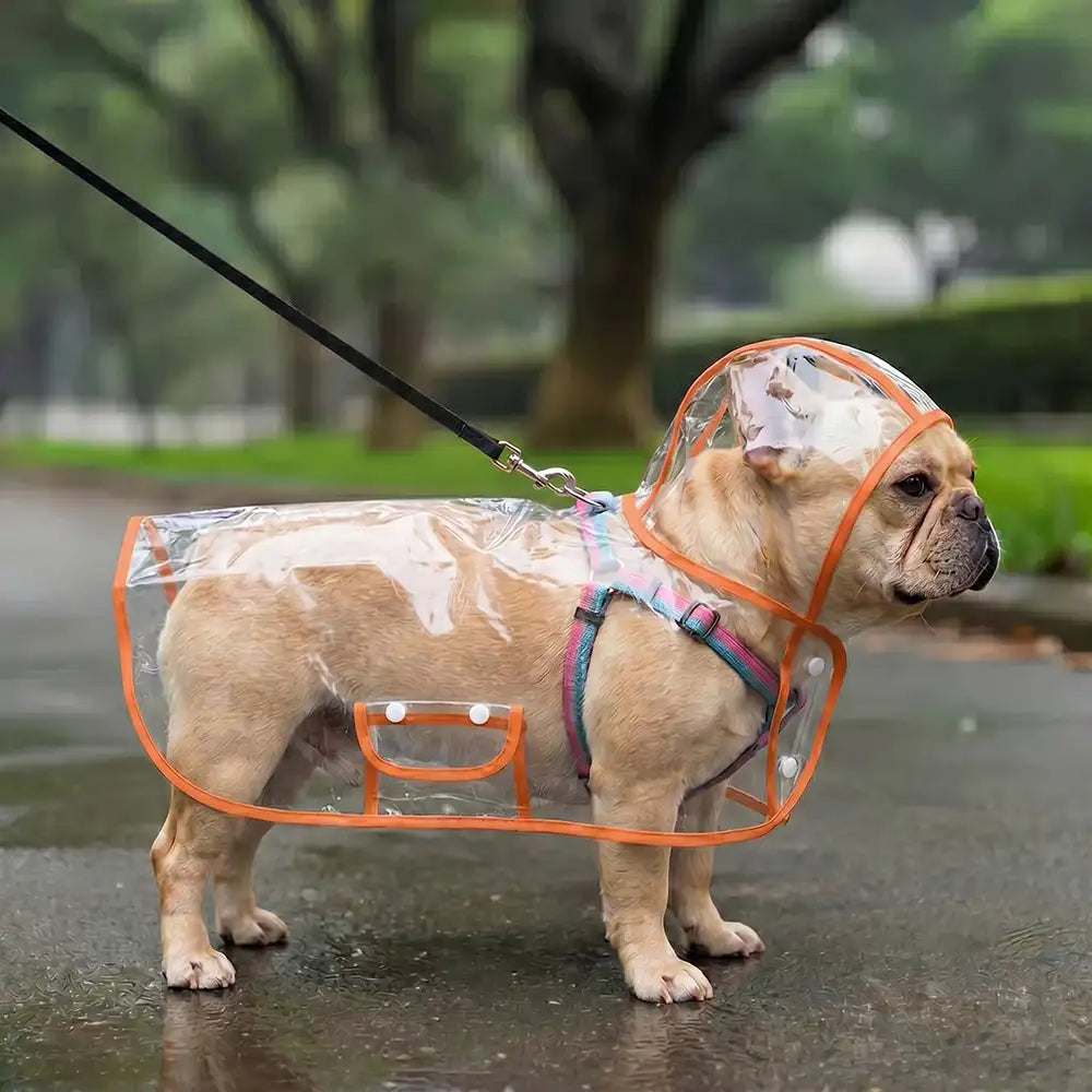 Translucent EVA Dog Raincoat