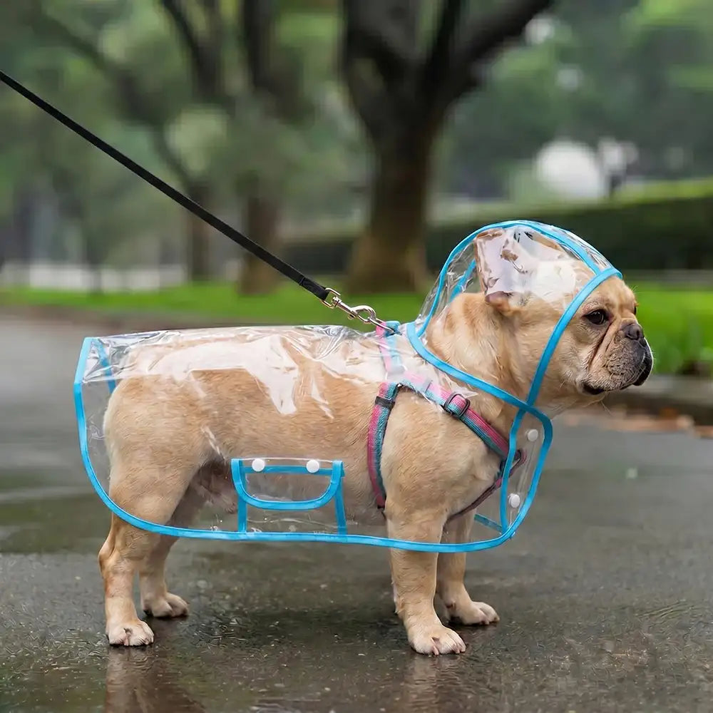 Translucent EVA Dog Raincoat