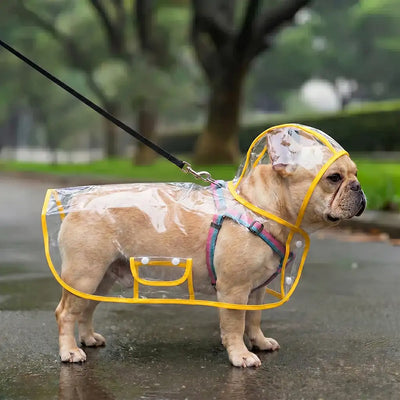 Translucent EVA Dog Raincoat
