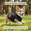 Fleece-Lined Dog Thermal Vest