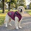 Fleece-Lined Dog Thermal Vest