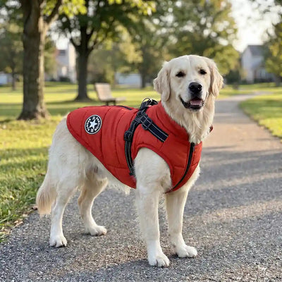 Fleece-Lined Dog Thermal Vest