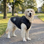 Fleece-Lined Dog Thermal Vest