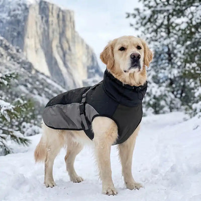 Heavy-Duty Dog Winter Jacket