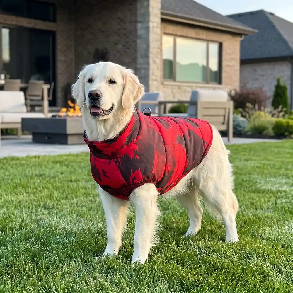 Minimalist Dog Thermal Vest
