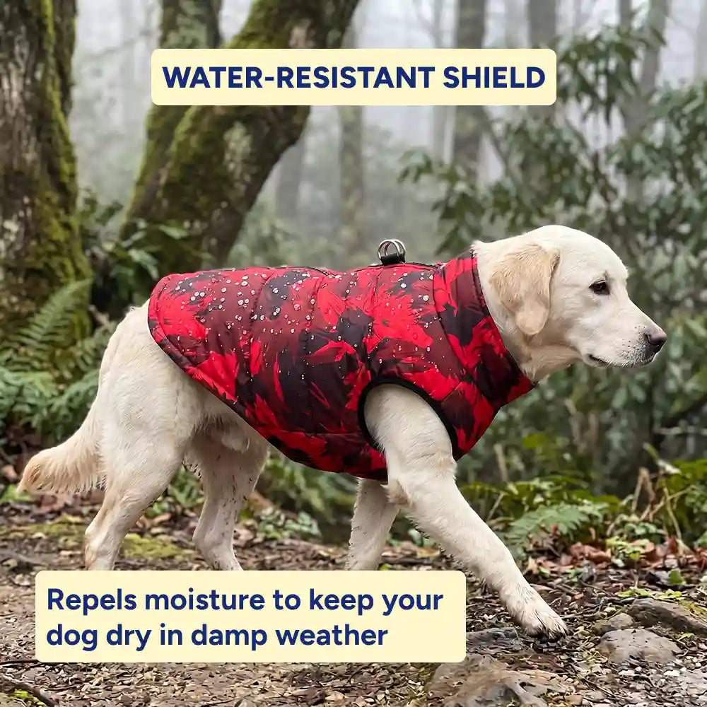 Minimalist Dog Thermal Vest