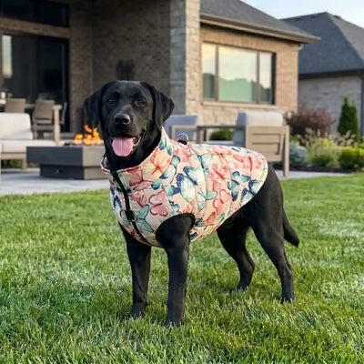 Minimalist Dog Thermal Vest