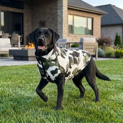 Minimalist Dog Thermal Vest