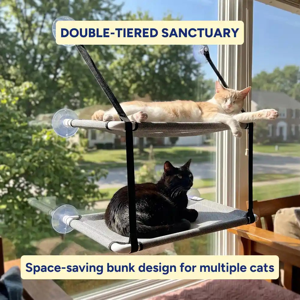 Multi-Tier Cat Window Sanctuary
