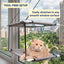 Multi-Tier Cat Window Sanctuary