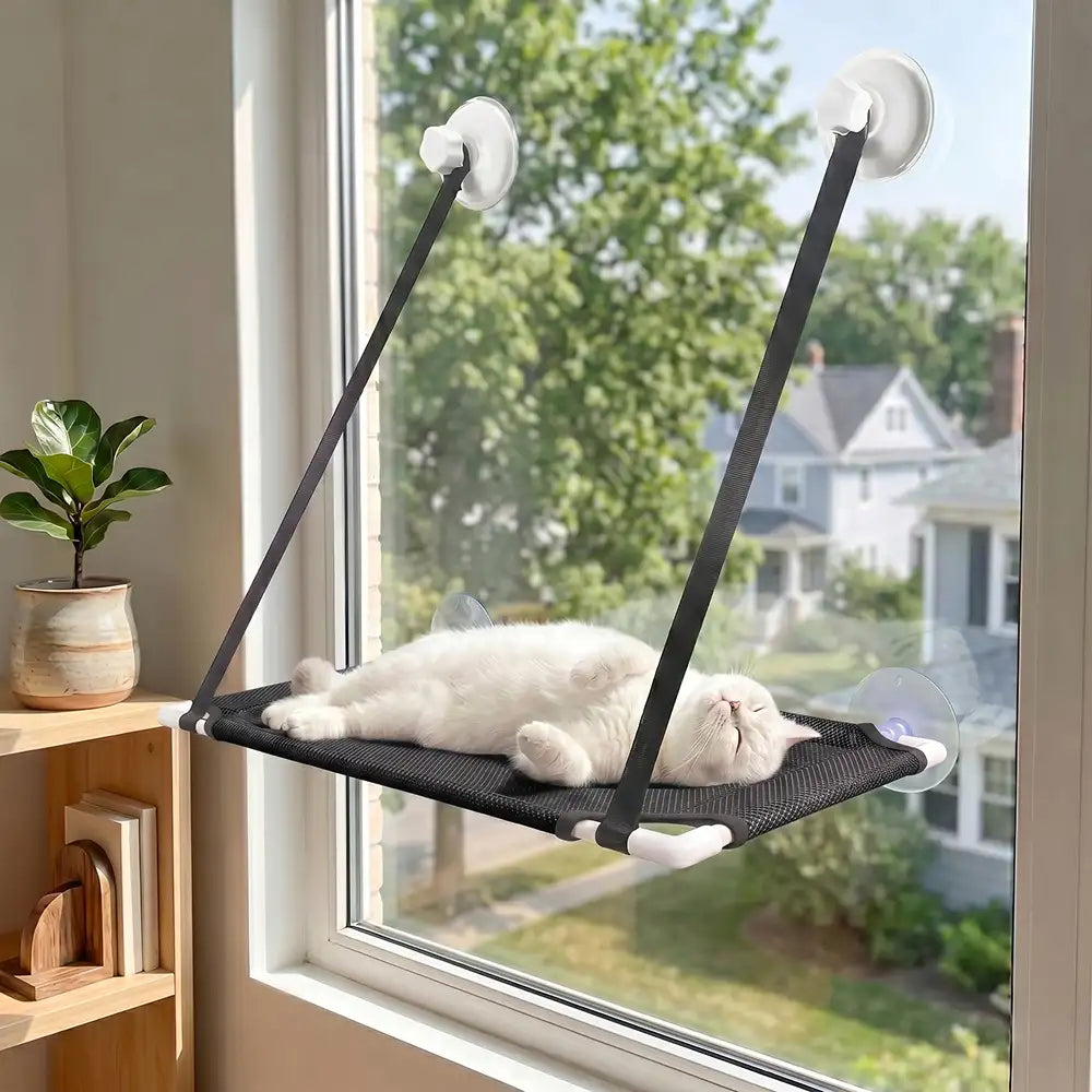 Multi-Tier Cat Window Sanctuary