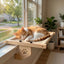 Pine Wood Cat Window Perch