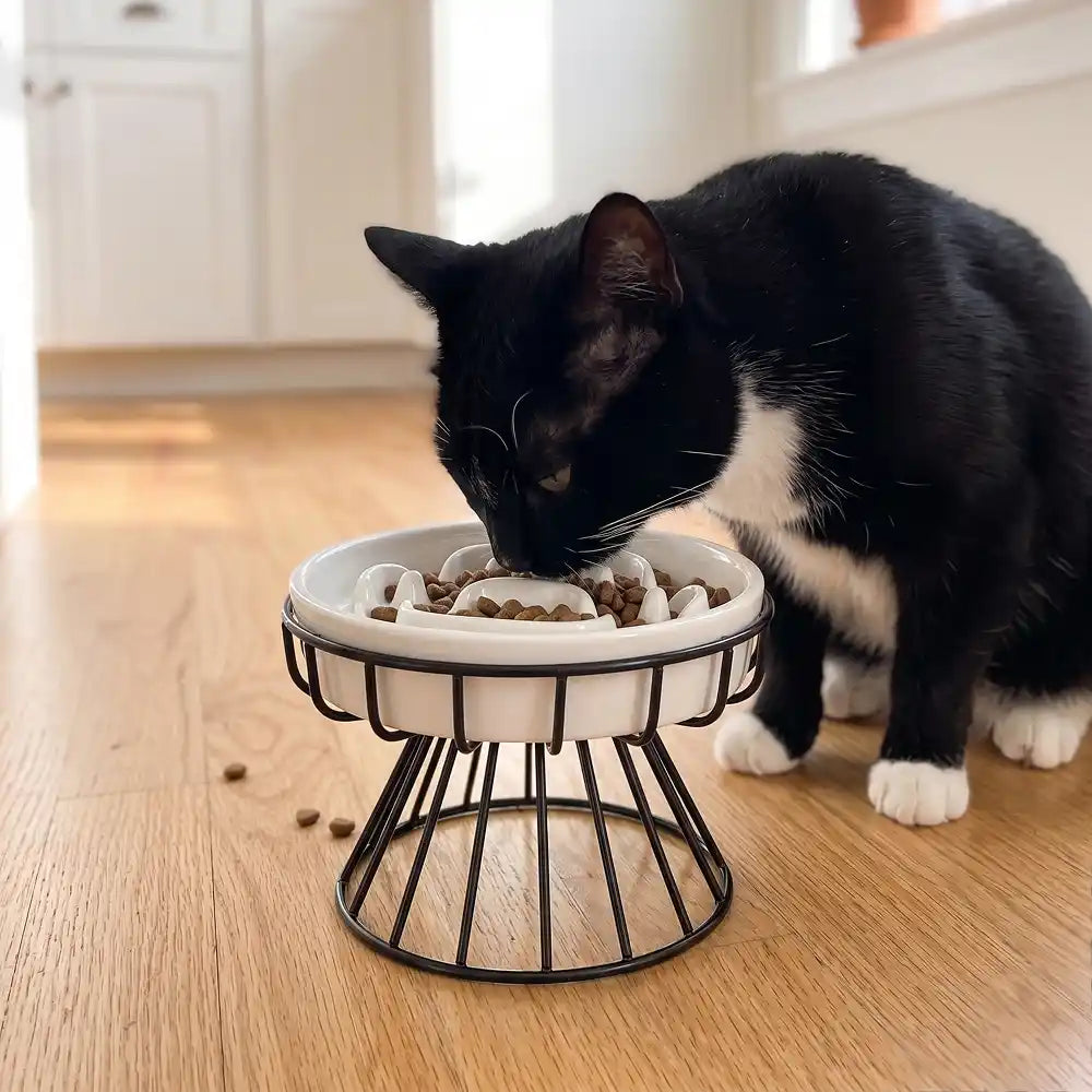 Elevated Ceramic Pet Slow Feeder