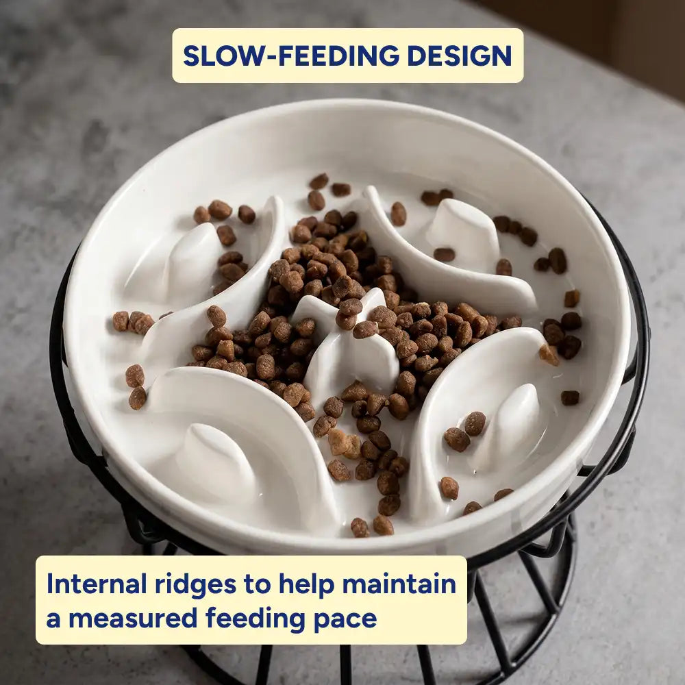 Elevated Ceramic Pet Slow Feeder