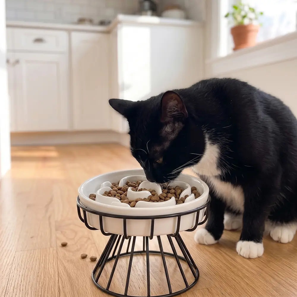 Elevated Ceramic Pet Slow Feeder