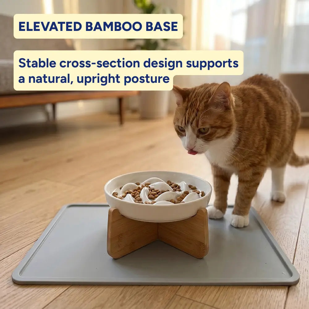 Wooden Stand Ceramic Slow Feeder Bowl