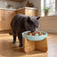 Wooden Stand Ceramic Slow Feeder Bowl