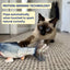Interactive Flopping Fish Cat Toy