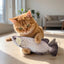 Plush Motion Fish Cat Toy