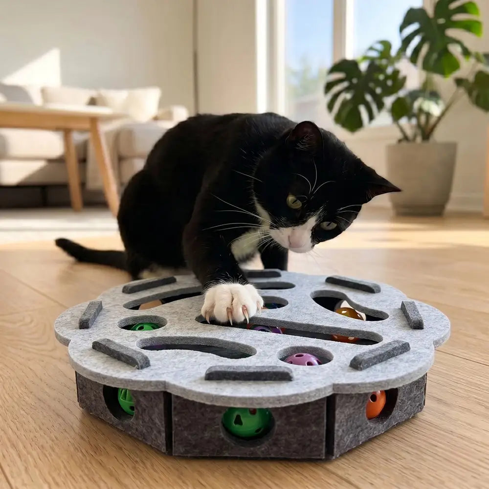 Interactive Felt Cat Puzzle Box