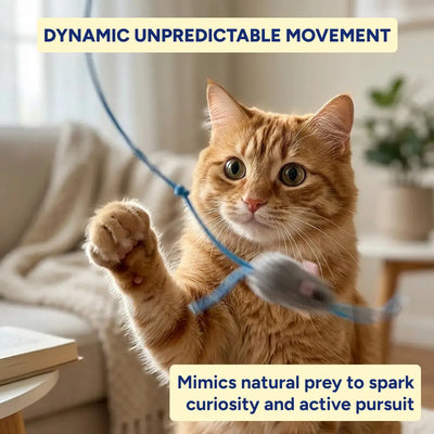 Smart Doorway Cat Teaser