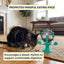 Leaking Food Pet Puzzle Wheel