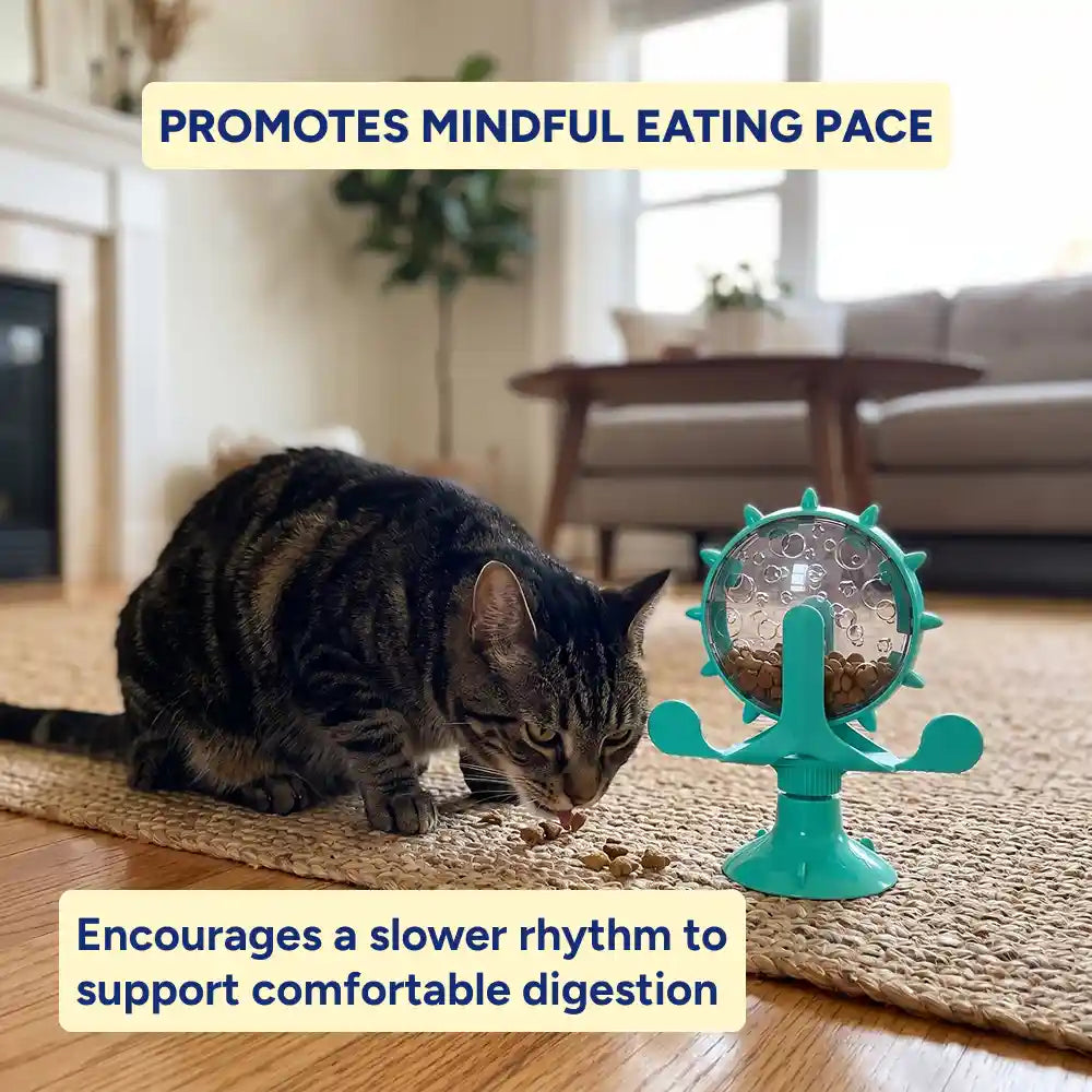 Leaking Food Pet Puzzle Wheel