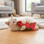 Plush Catnip Fish Toy