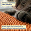 Carrot Rope Cat Scratcher