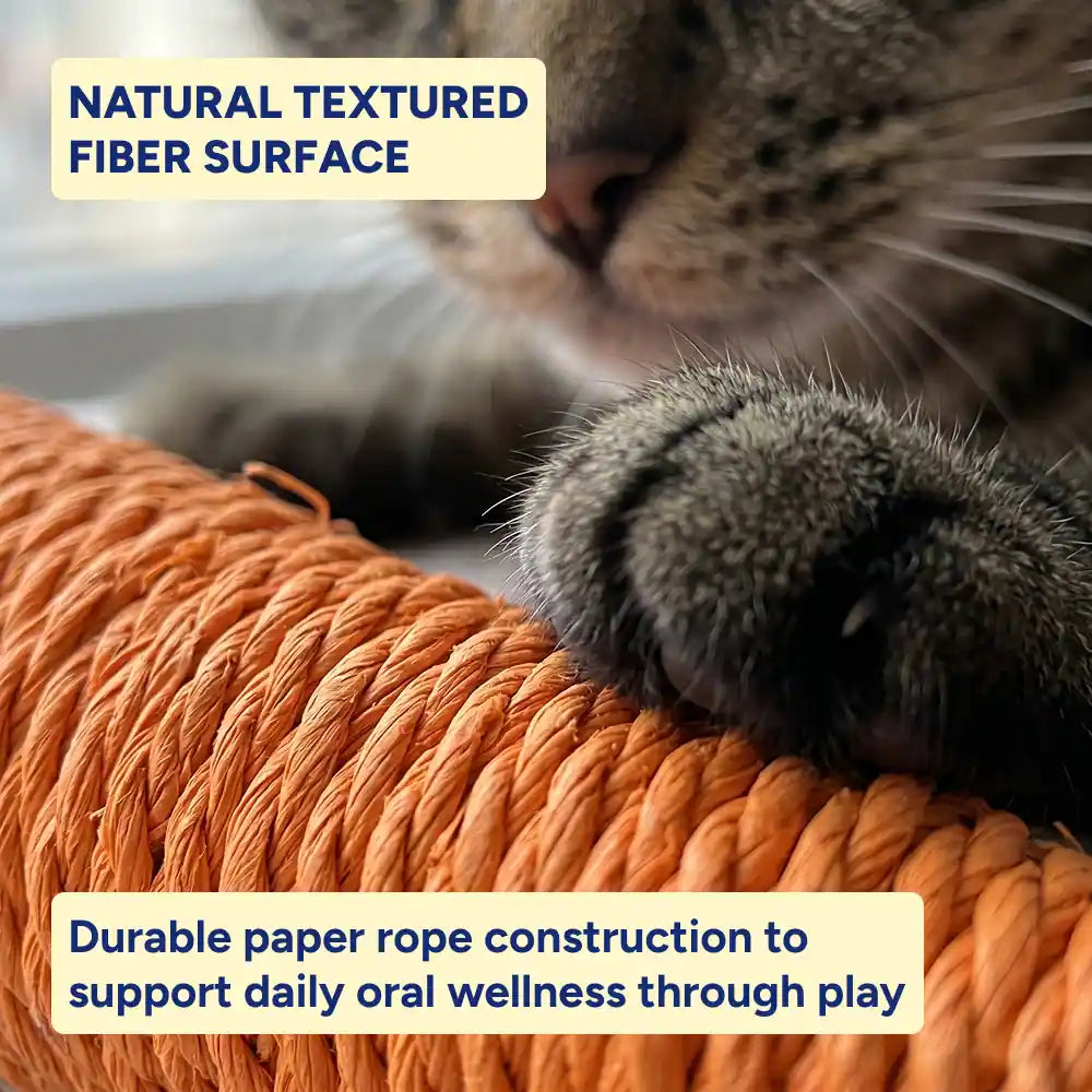 Carrot Rope Cat Scratcher