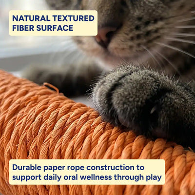 Carrot Rope Cat Scratcher