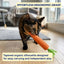 Carrot Rope Cat Scratcher