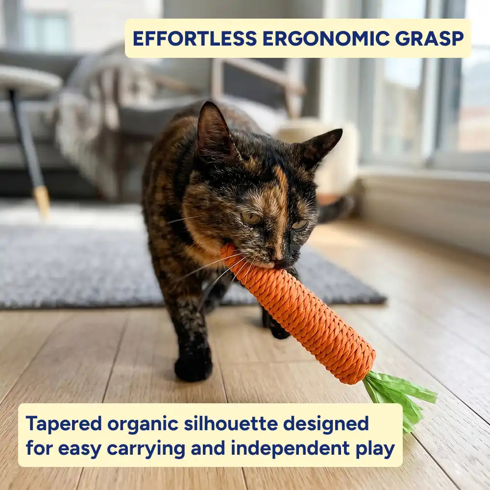 Carrot Rope Cat Scratcher