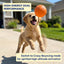 Interactive LED Pet Rolling Ball