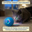 Interactive LED Pet Rolling Ball