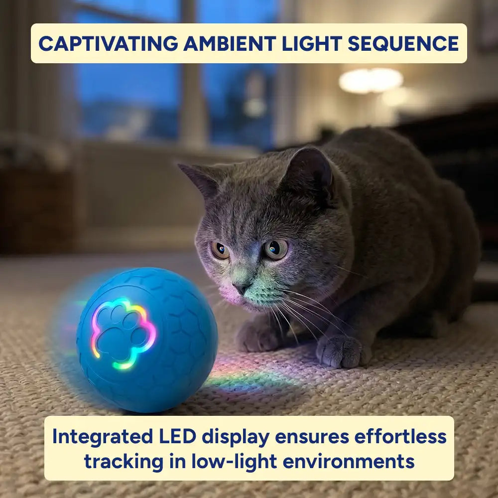 Interactive LED Pet Rolling Ball