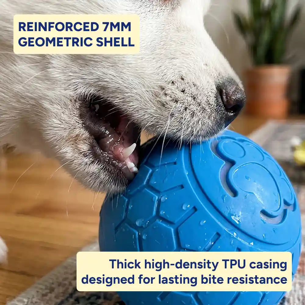 Interactive LED Pet Rolling Ball