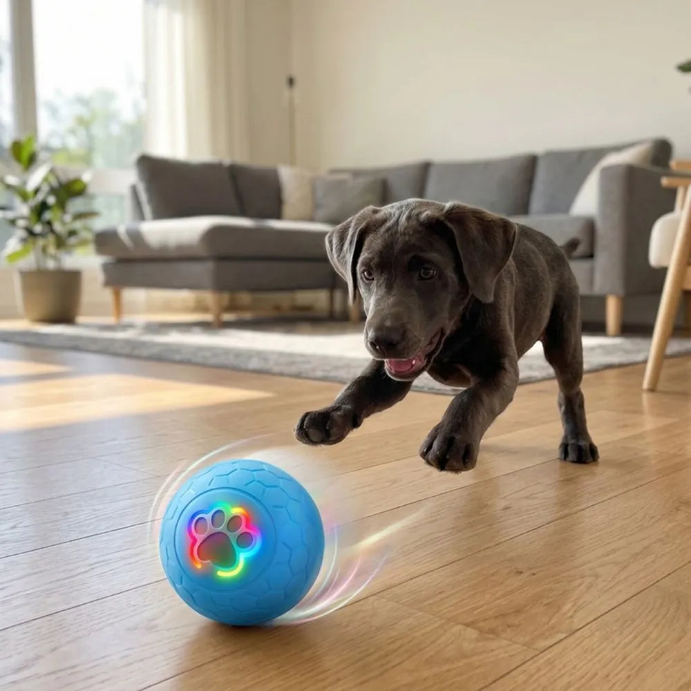Interactive LED Pet Rolling Ball