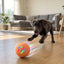 Interactive LED Pet Rolling Ball