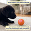 Smart Bouncing Pet Puzzle Ball