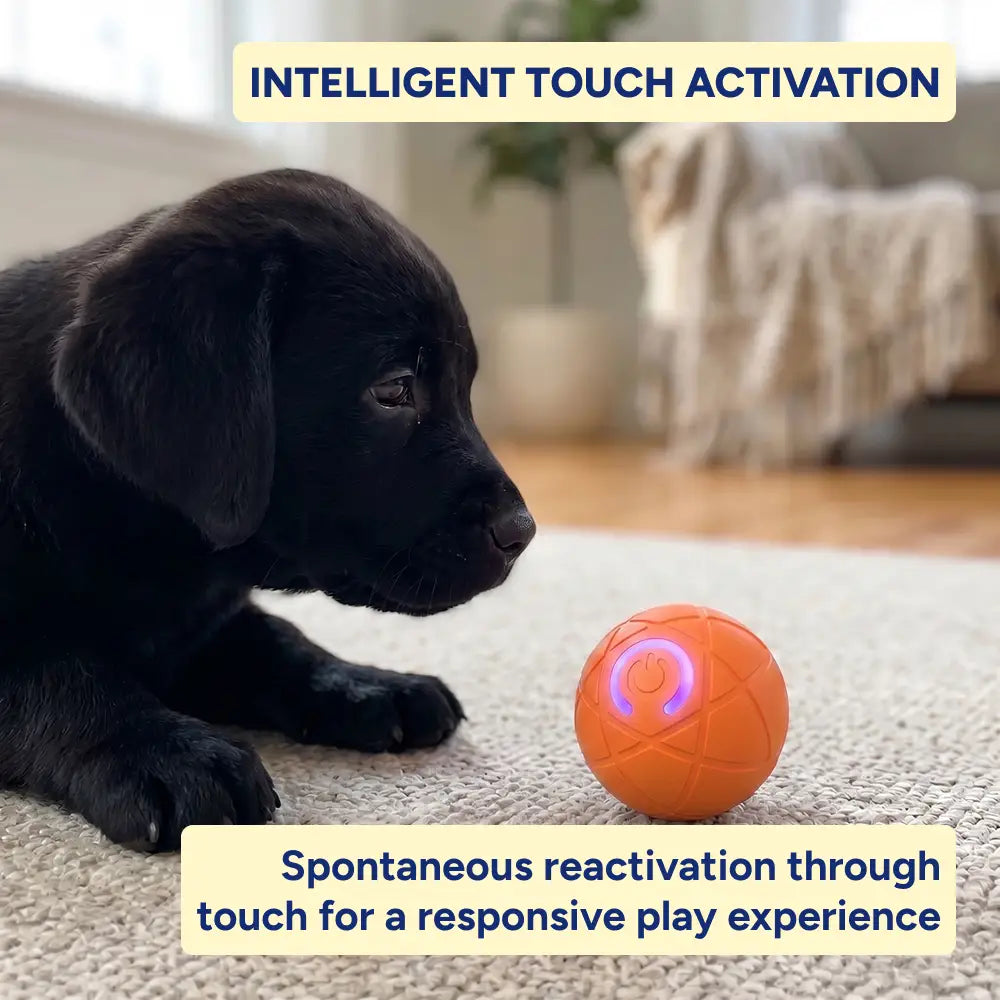 Smart Bouncing Pet Puzzle Ball