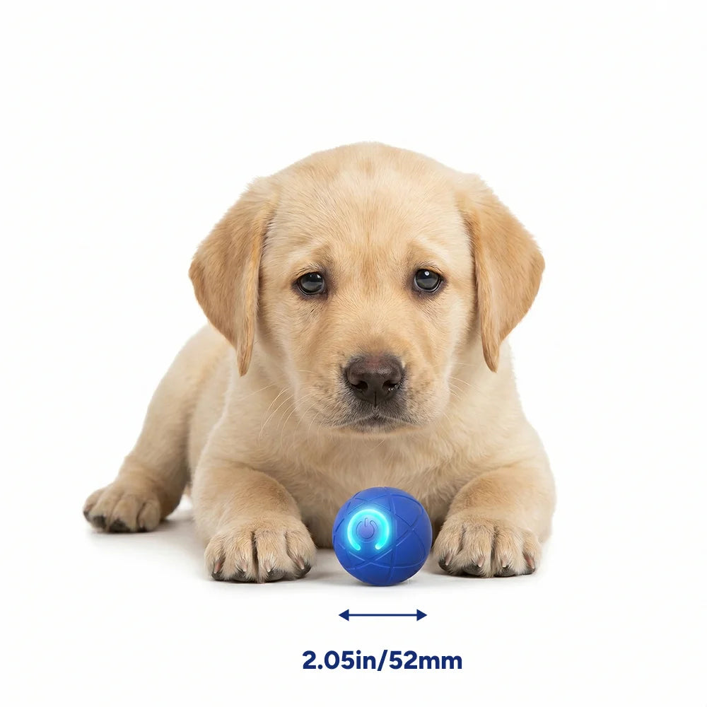 Smart Bouncing Pet Puzzle Ball