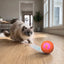 Smart Bouncing Pet Puzzle Ball
