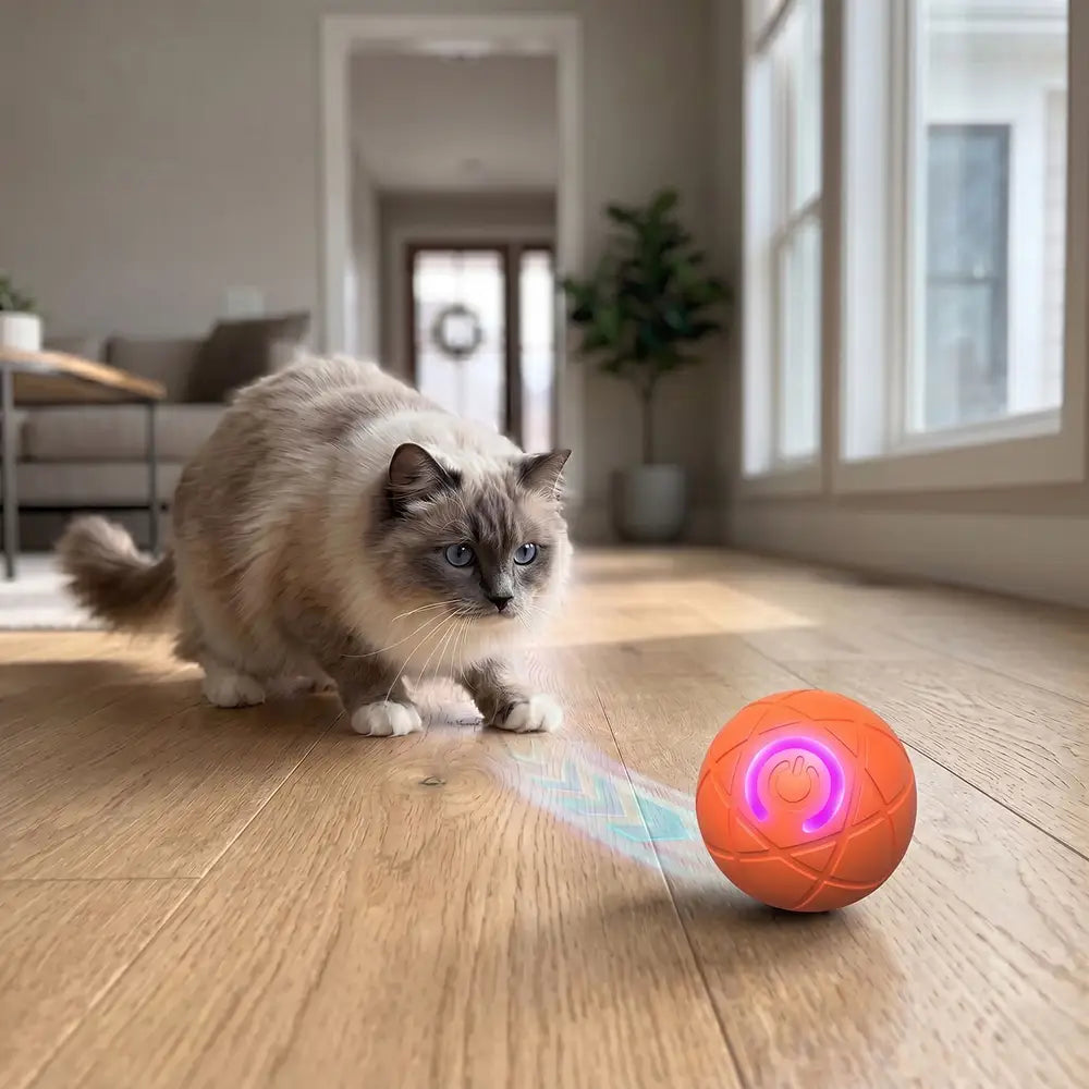 Smart Bouncing Pet Puzzle Ball