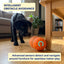Interactive LED Dog Ball